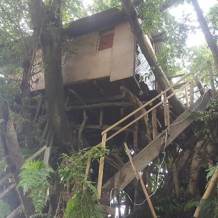 White Sands Castle Tree House And Bungalow חדר תמונה