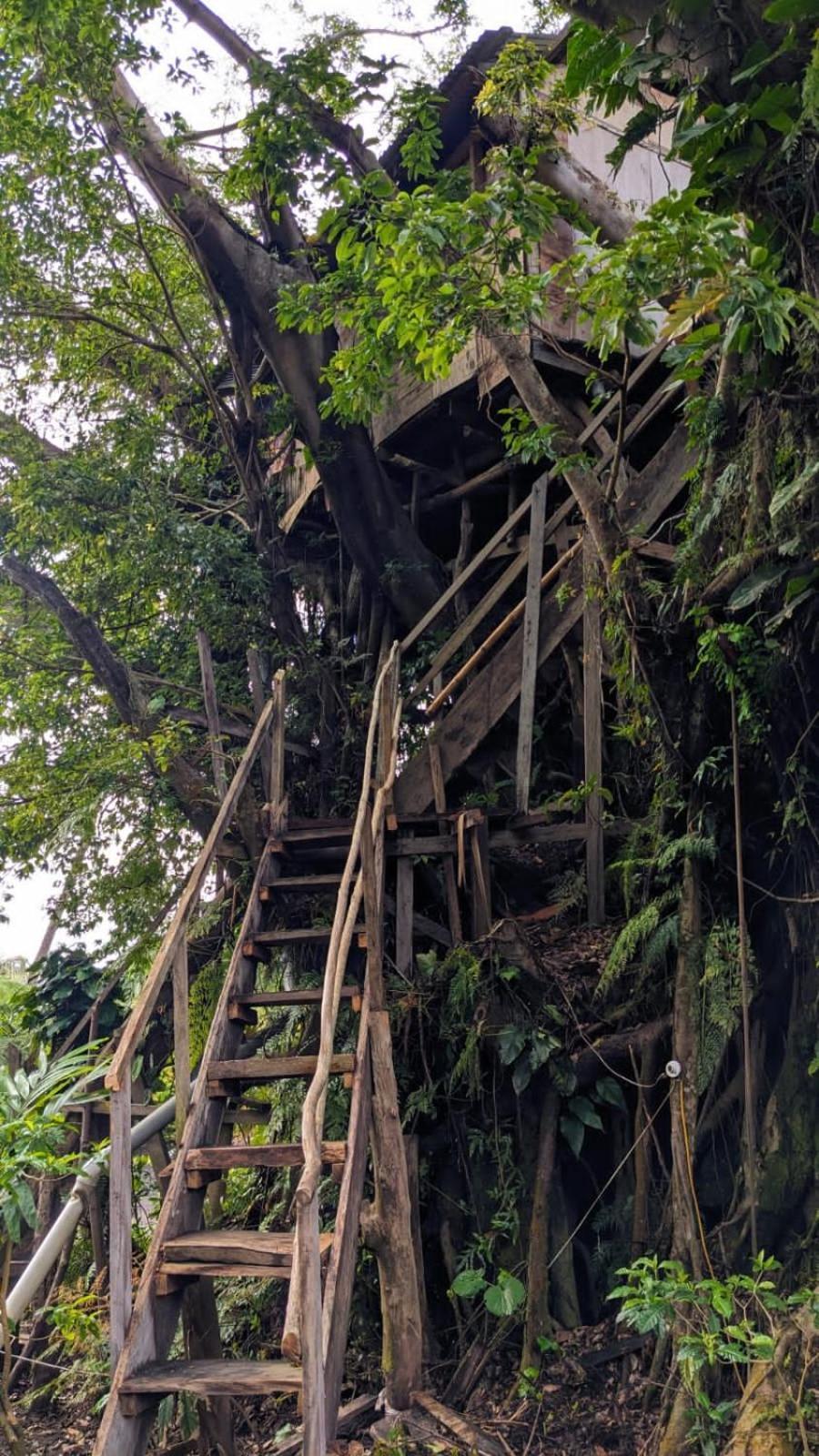 White Sands Castle Tree House And Bungalow מראה חיצוני תמונה