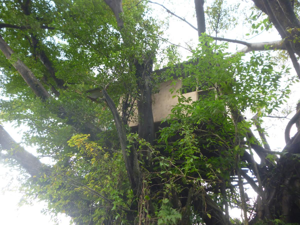 White Sands Castle Tree House And Bungalow מראה חיצוני תמונה