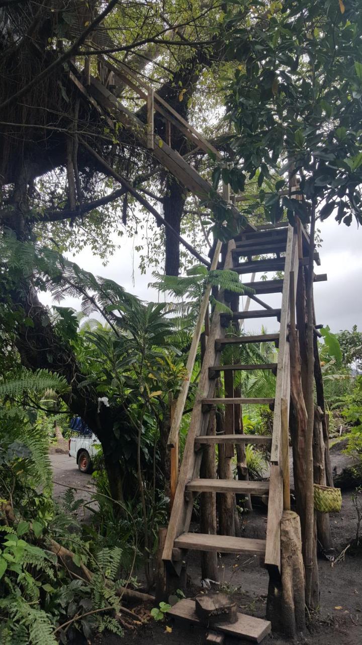 White Sands Castle Tree House And Bungalow מראה חיצוני תמונה